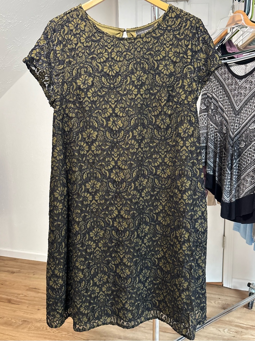 Lacey black and olive green whimsigoth shift dress. Lane Bryant size 14/16